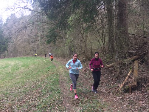 Datei 02.04.17 23 33 57.jpeg